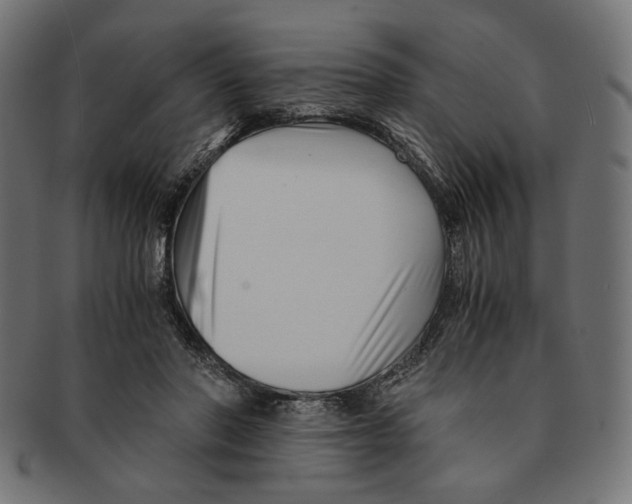 X0000091220406200709061503