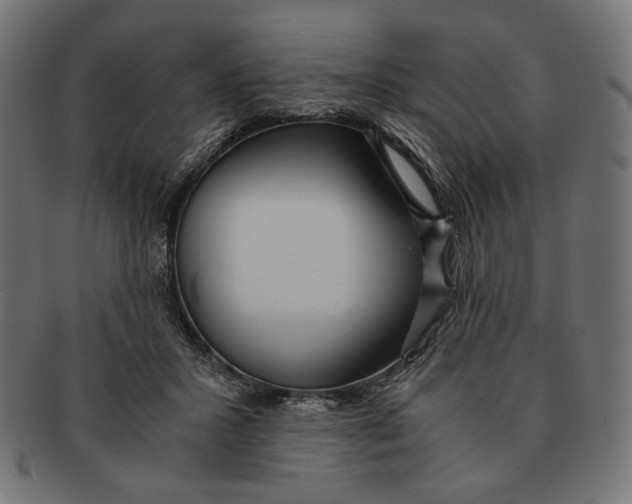 X0000091220407200709061503