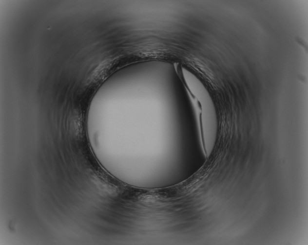 X0000091220408200709061503