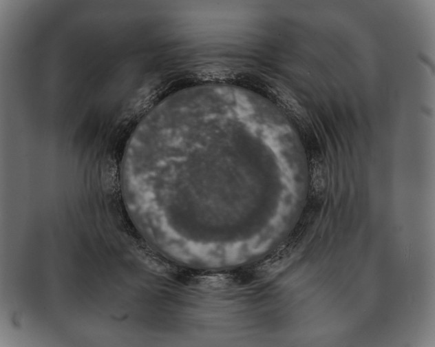 X0000091220411200709061503