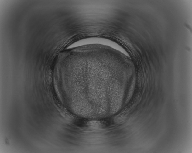 X0000091220413200709061503