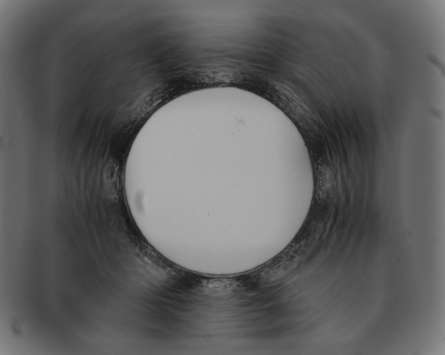 X0000091220414200709061503