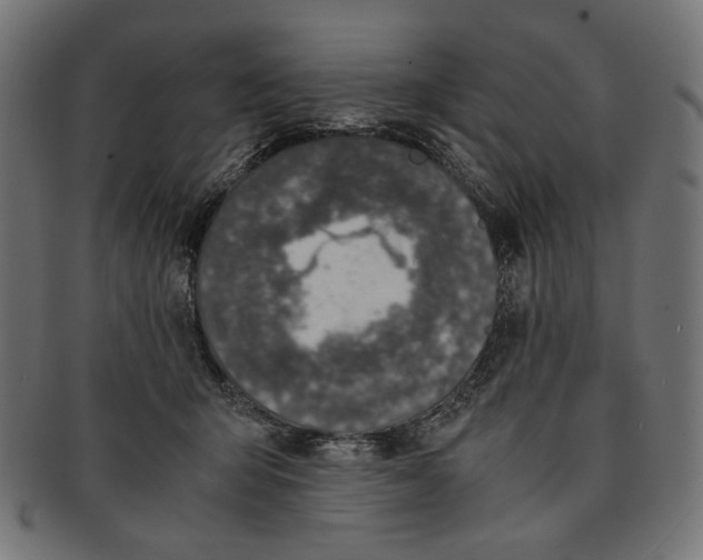 X0000091220415200709061503