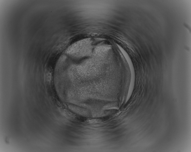 X0000091220417200709061503