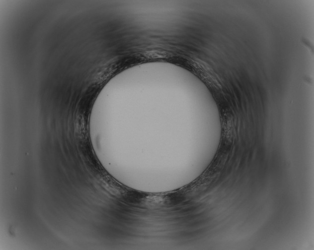 X0000091220418200709061503