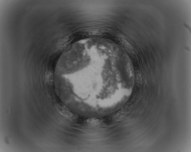 X0000091220419200709061503