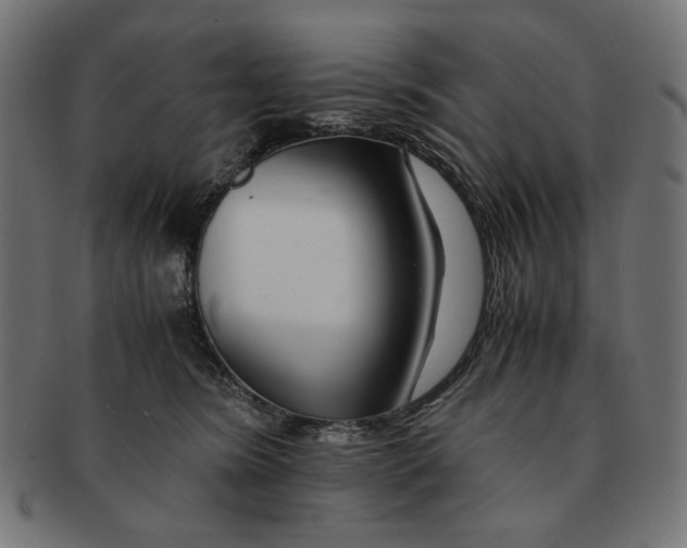 X0000091220420200709061503