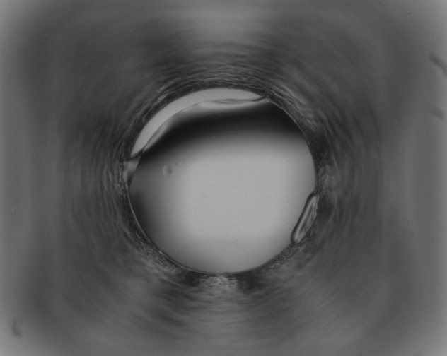 X0000091220421200709061503