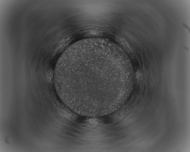 X0000091220423200709061503