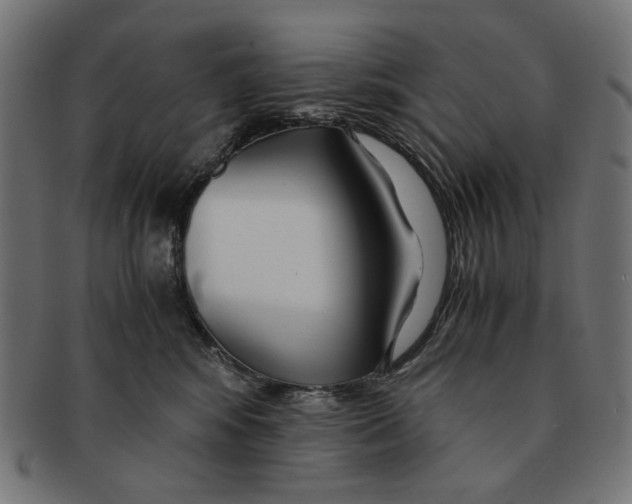 X0000091220424200709061503