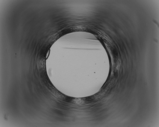 X0000091220425200709061503