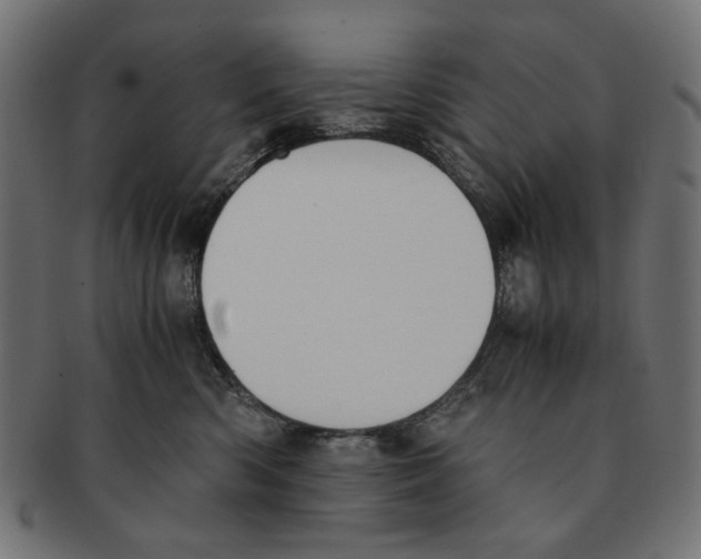 X0000091220426200709061503