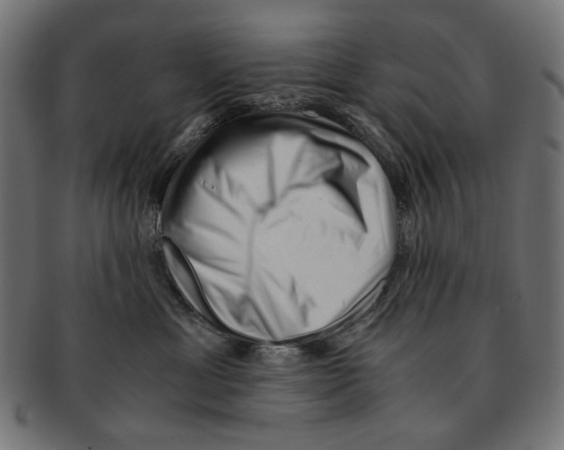 X0000091220429200709061503