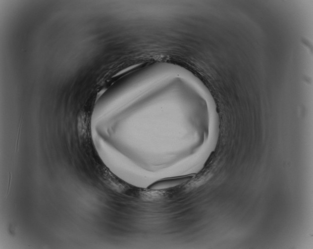 X0000091220432200709061503