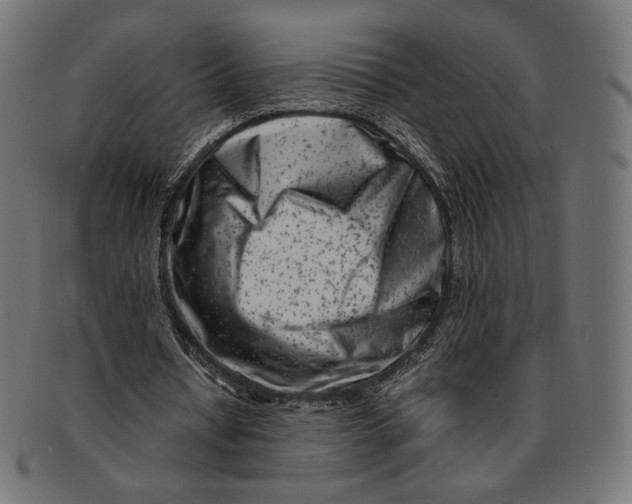 X0000091220434200709061502