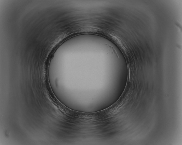 X0000091220435200709061502