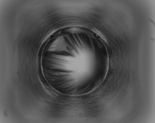 X0000091220436200709061502