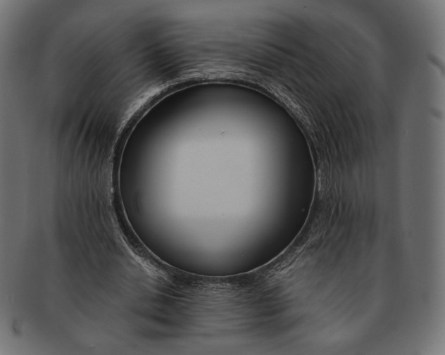 X0000091220438200709061502