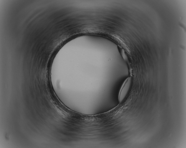 X0000091220439200709061502