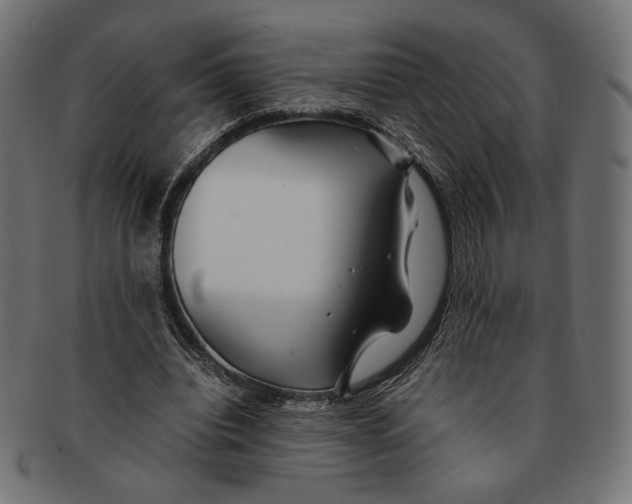 X0000091220440200709061502