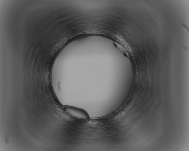 X0000091220441200709061502