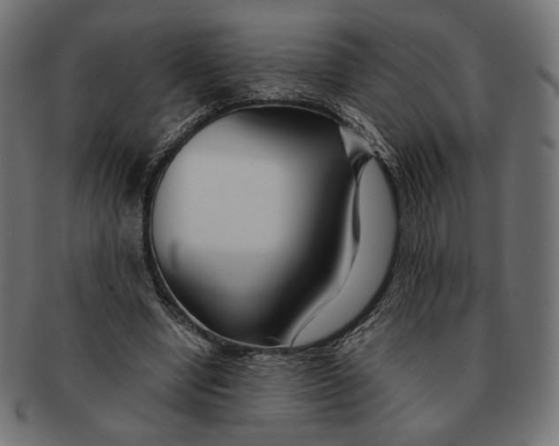 X0000091220442200709061502