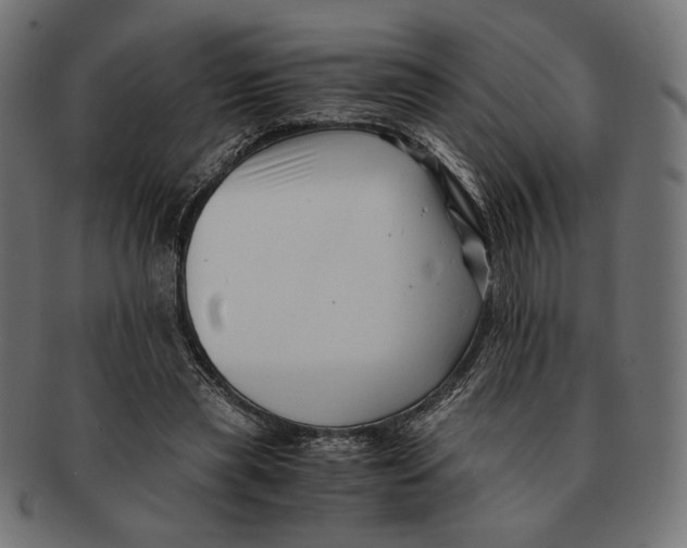 X0000091220445200709061502