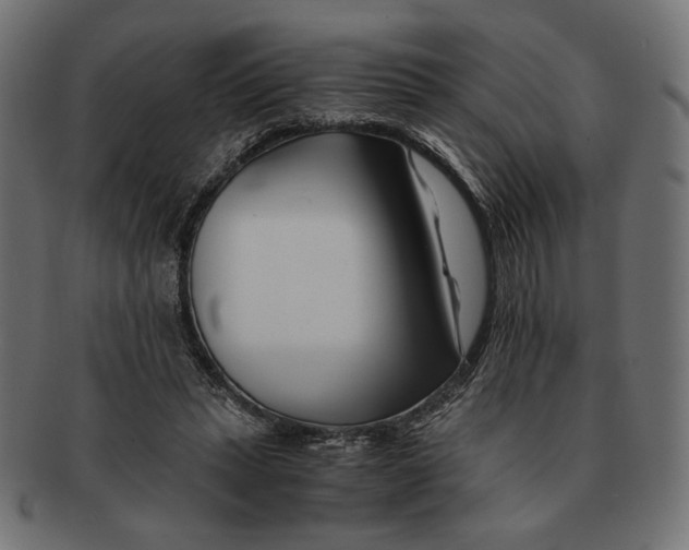 X0000091220447200709061502