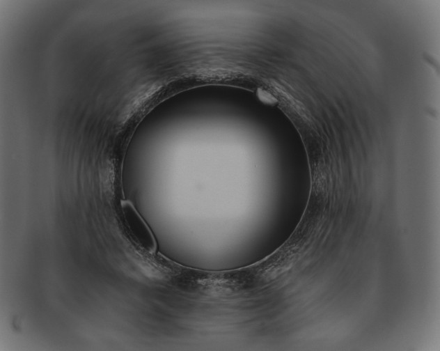 X0000091220448200709061503