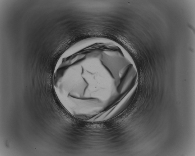 X0000091220449200709061503