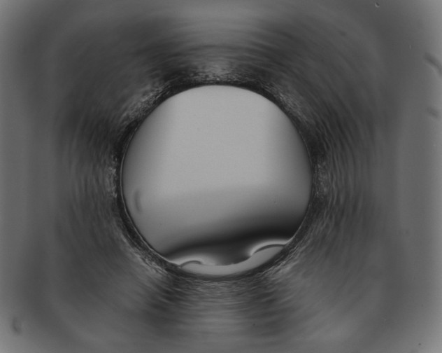 X0000091220450200709061503