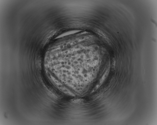 X0000091220452200709061503