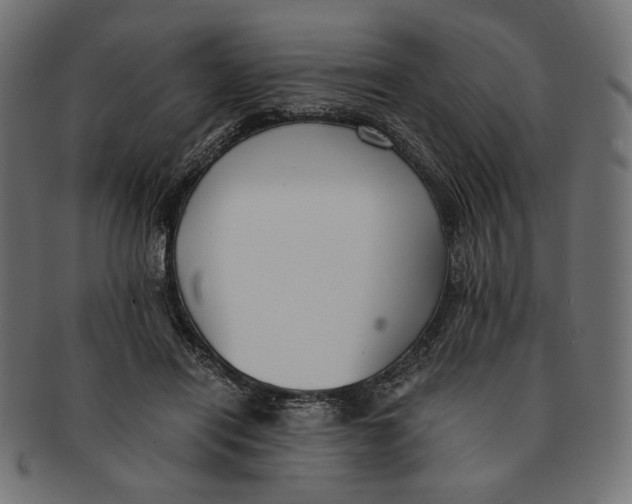 X0000091220454200709061503