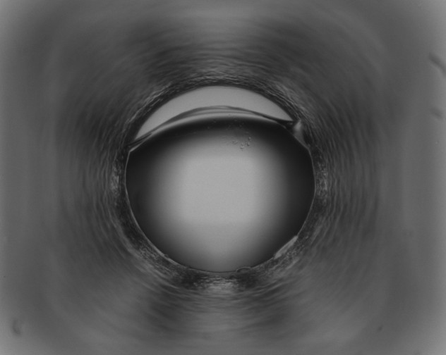 X0000091220456200709061503