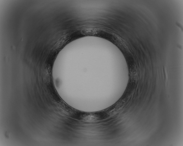 X0000091220460200709061503