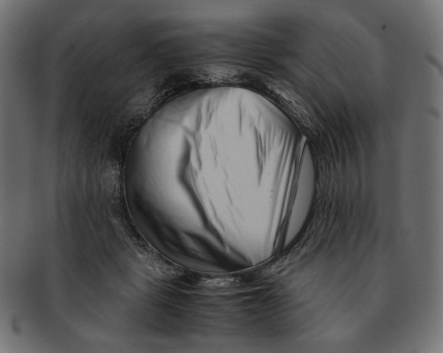 X0000091220461200709061503