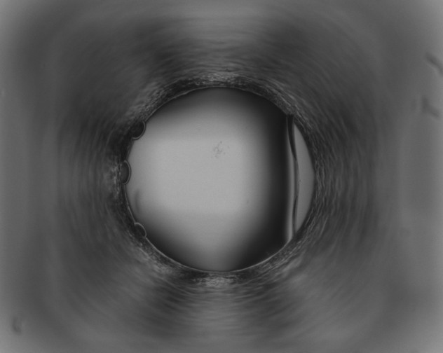 X0000091220462200709061503