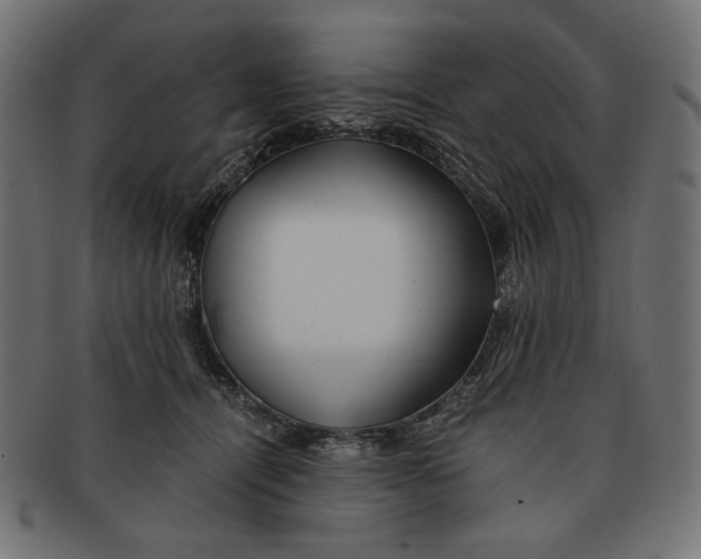 X0000091220464200709061503