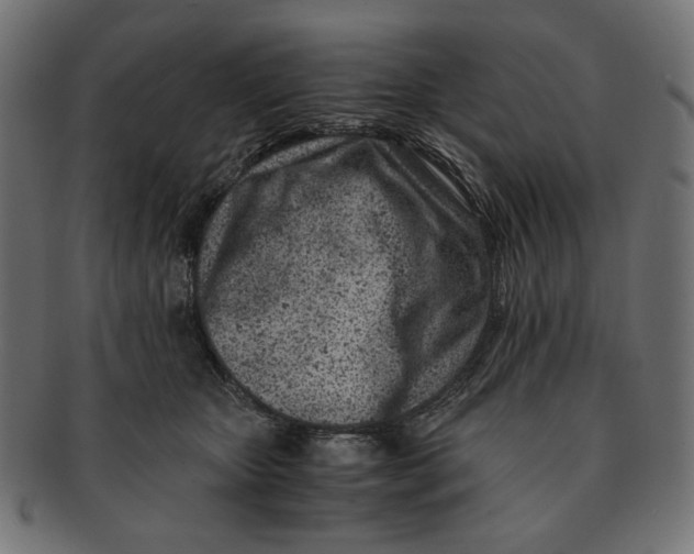 X0000091220467200709061503