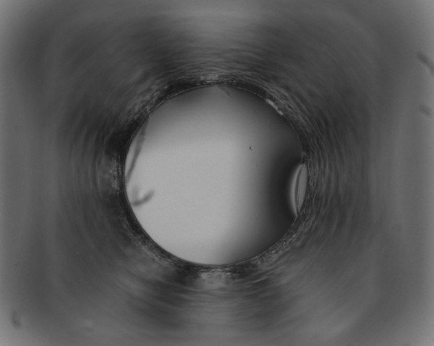 X0000091220470200709061503