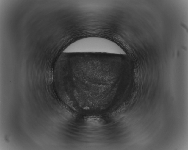 X0000091220471200709061503