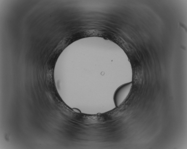 X0000091220473200709061503