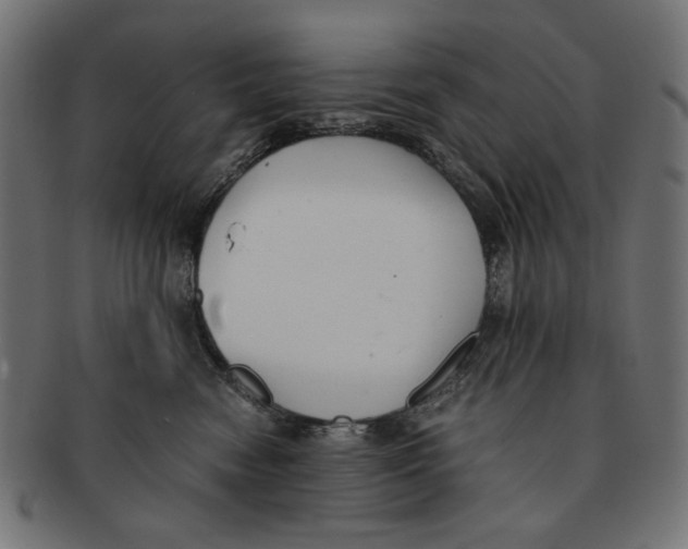 X0000091220474200709061503