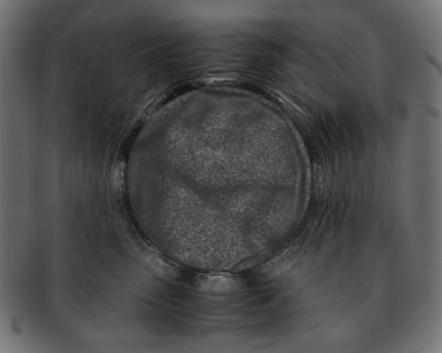 X0000091220475200709061503