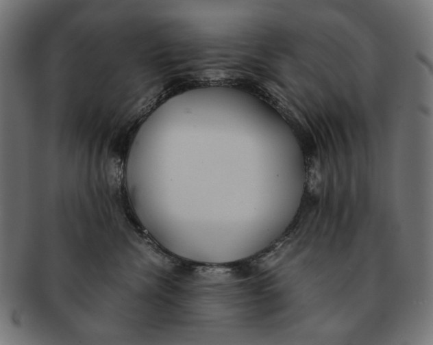 X0000091220476200709061503