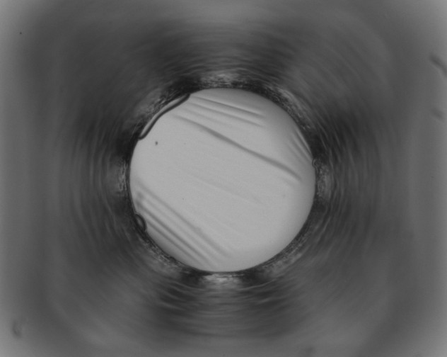 X0000091220477200709061503