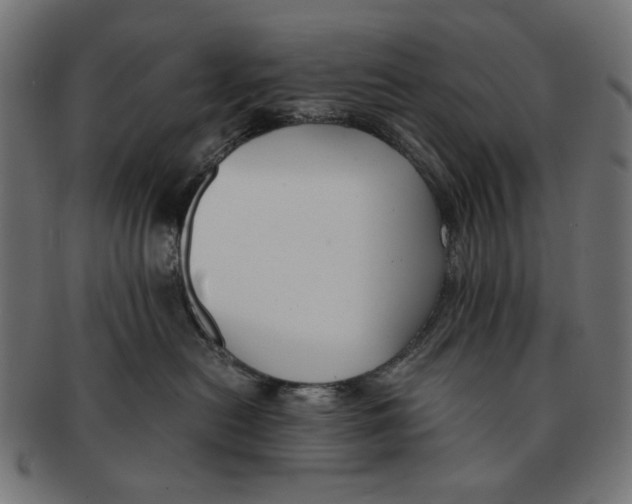 X0000091220478200709061503