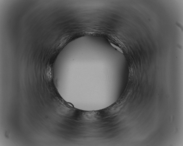 X0000091220479200709061503