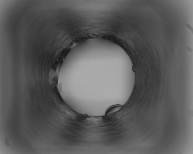 X0000091220480200709061503