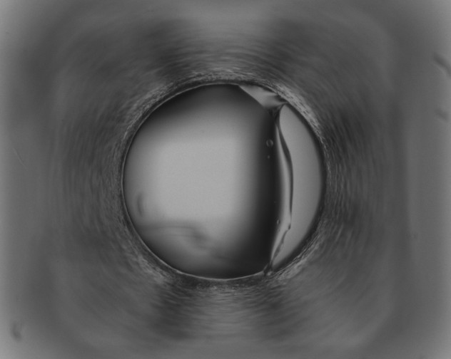 X0000091220481200709061502